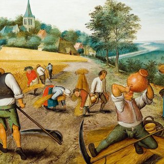 Verte et sèche Gruyère !