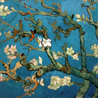 Le printemps dans une autre vie