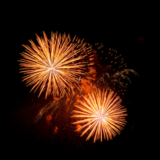 Bonne année