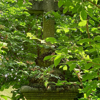 La croix aux orties