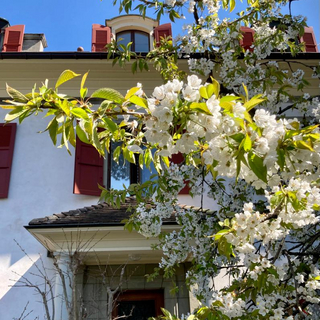 Fête de printemps avec saint Dominique